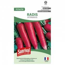 Radis Ostergruss