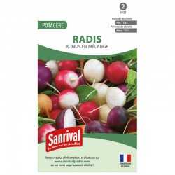 Radis ronds en m&eacute;lange