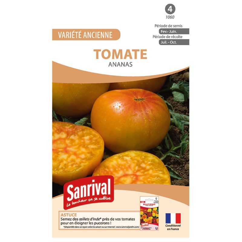 Graines de tomate Ananas Graines de tomate Ananas