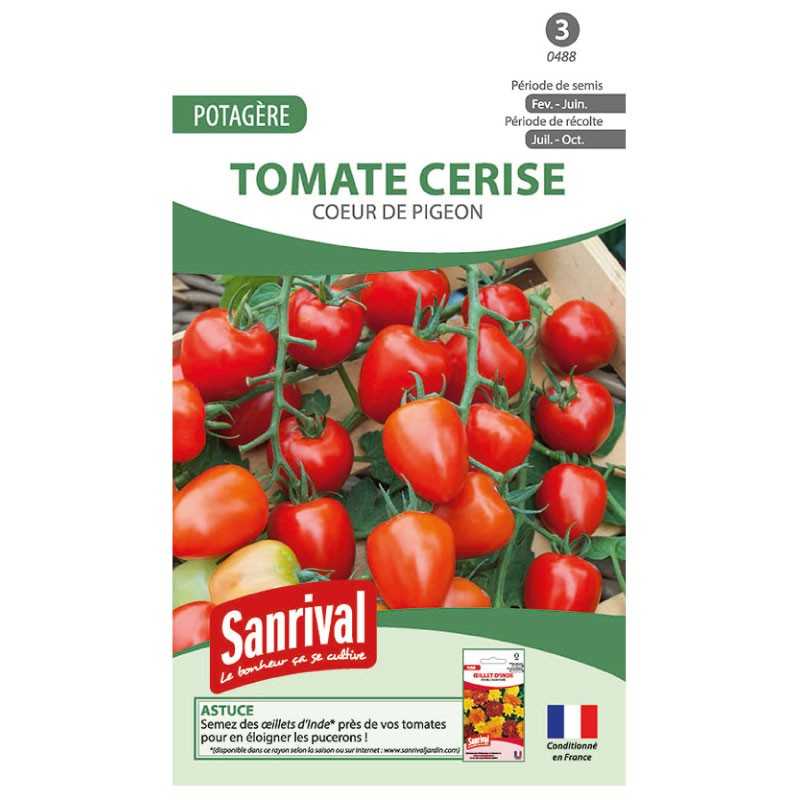 Graines de tomate cerise cœur de pigeon Graines de tomate cerise cœur de pigeon