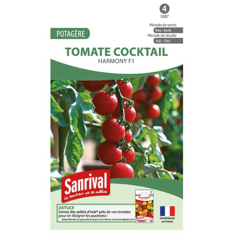Graines de tomate grappe cocktail Harmony F1 Graines de tomate grappe cocktail Harmony F1