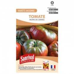 Graines de tomate Noire de Crim&eacute;e