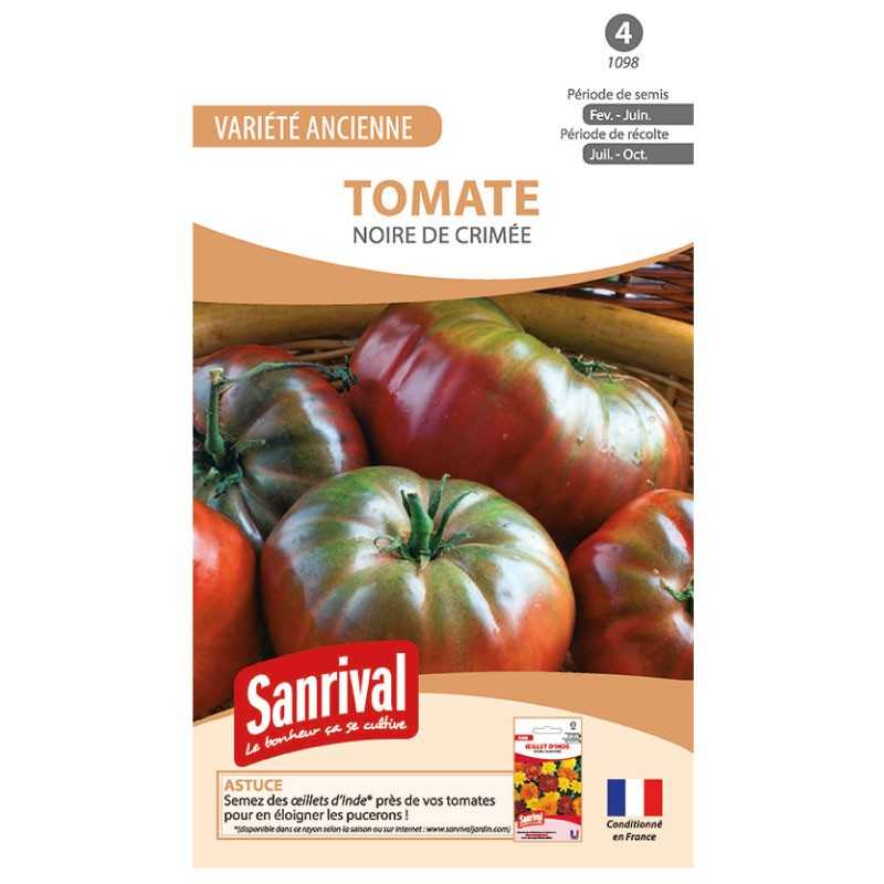 Graines de tomate Noire de Crimée Graines de tomate Noire de Crimée