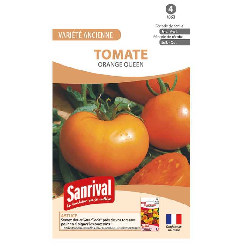 Graines de tomate Orange Queen Graines de tomate Orange Queen