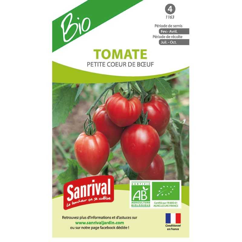 Graines de tomate petite cœur de bœuf Graines de tomate petite cœur de bœuf