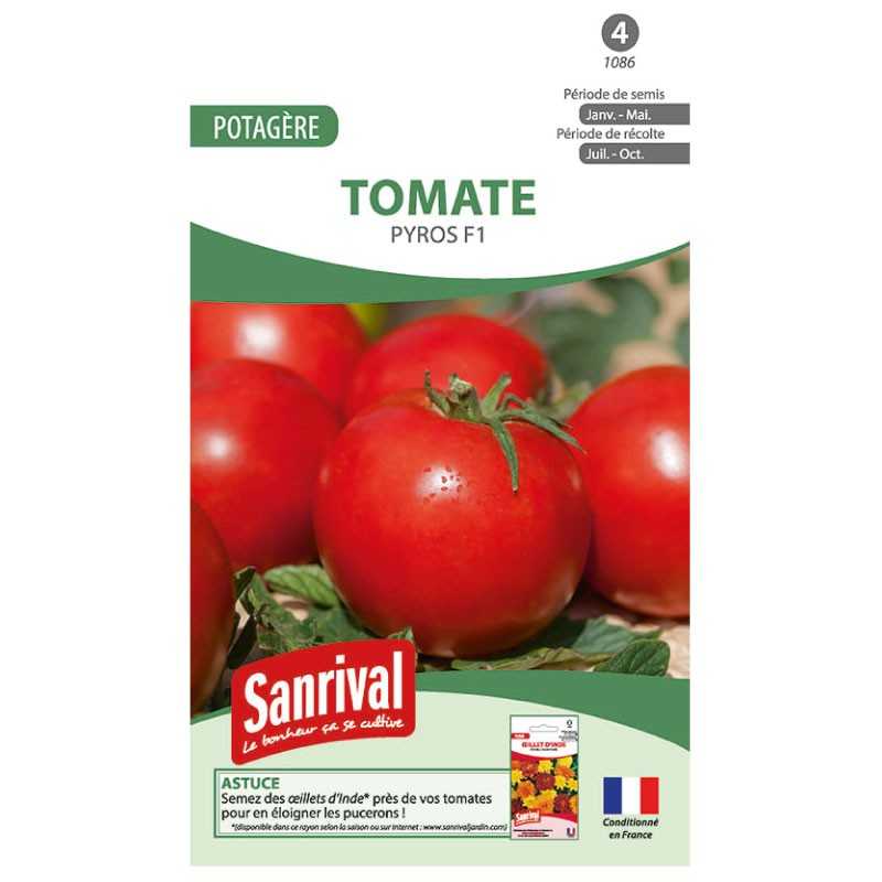 Graines de tomate Pyros F1 Graines de tomate Pyros F1