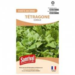 T&eacute;tragone Cornue