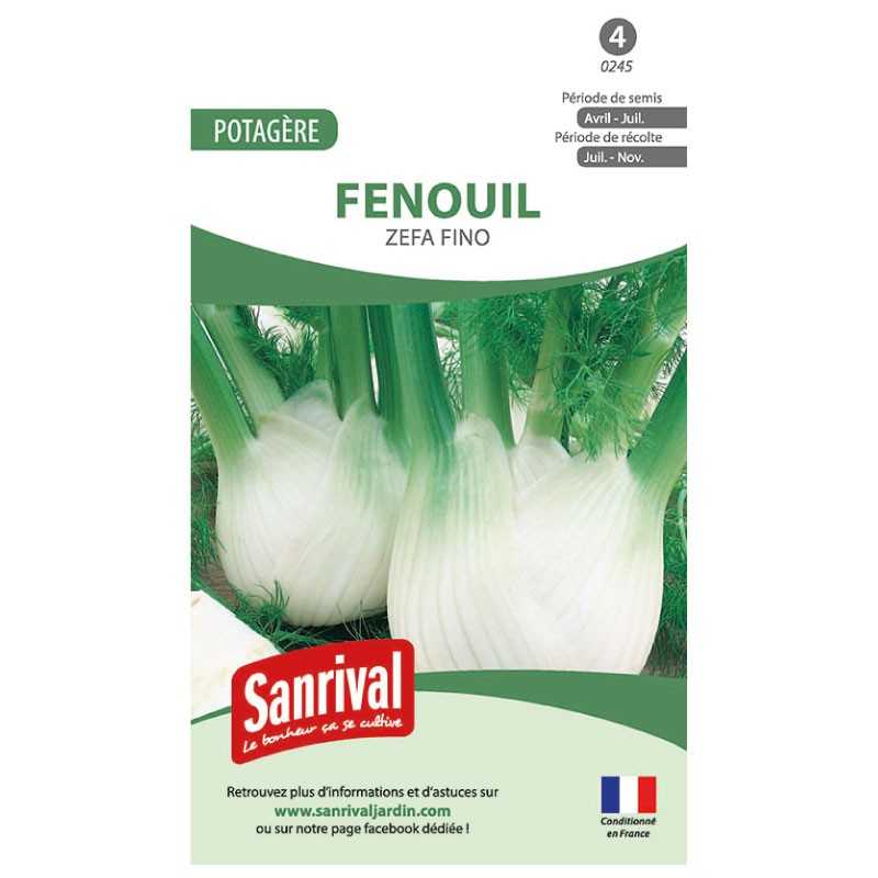 graines de Fenouil Zefa Fino graines de Fenouil Zefa Fino