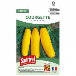 graines de Courgette jaune Polka
