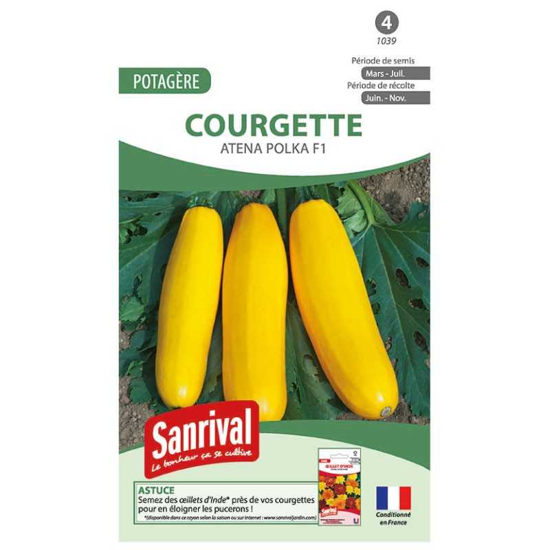 graines de Courgette jaune Polka graines de Courgette jaune Polka
