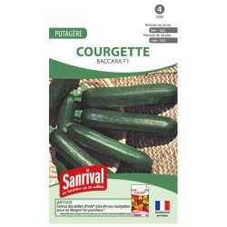 graines de Courgette Baccara F1