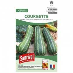 graines de Courgette d'Italie verte non coureuse (Coucourzelle)