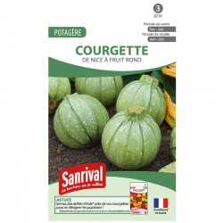 graines de Courgette de Nice à fruit rond