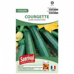graines de Courgette noire maraich&egrave;re