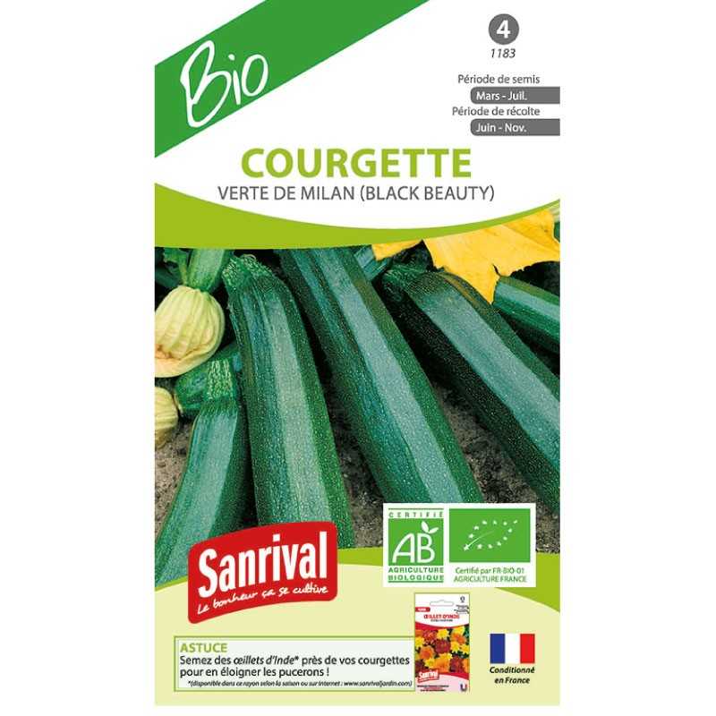 graines de Courgette Verte de Milan (black beauty) graines de Courgette Verte de Milan (black beauty)