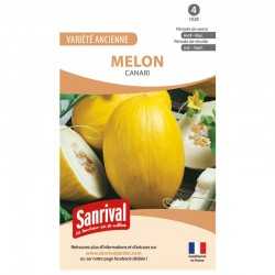 Graines de Melon Canari
