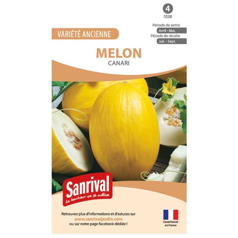 Graines de Melon Canari Graines de Melon Canari