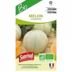 Graines de Melon Charentais BIO