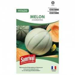 Graines de Melon Charentais