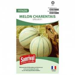 Graines de Melon charentais Stellio F1