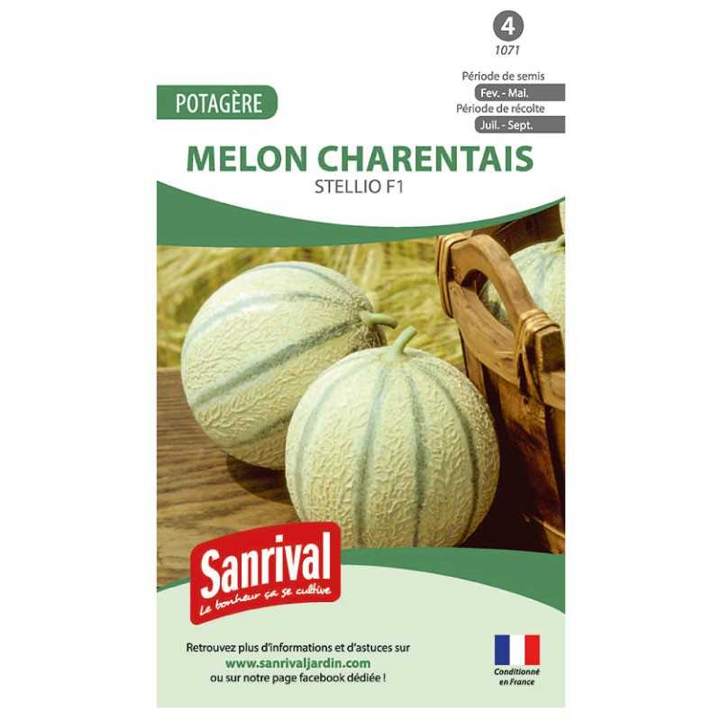 Graines de Melon charentais Stellio F1 Graines de Melon charentais Stellio F1