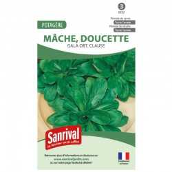 Graines de Mâche Gala obt Clause (doucette)