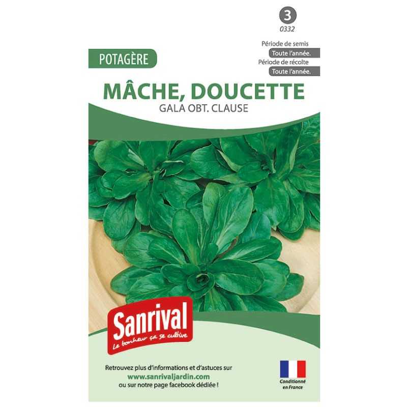 Graines de Mâche Gala obt Clause (doucette) Graines de Mâche Gala obt Clause (doucette)