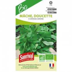 Graines de M&acirc;che &agrave; grosse graine (doucette)