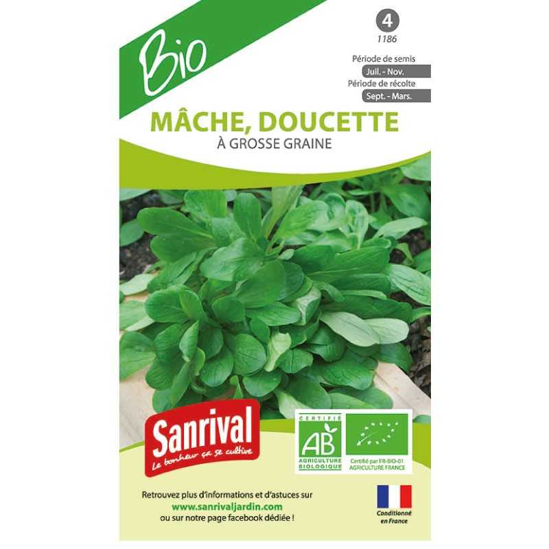 Graines de Mâche à grosse graine (doucette) Graines de Mâche à grosse graine (doucette)