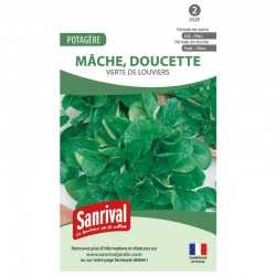 Graines de M&acirc;che verte de Louviers (doucette)