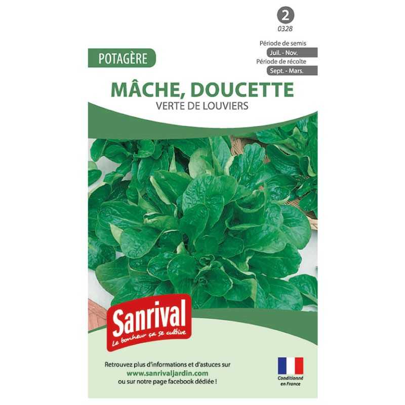 Graines de Mâche verte de Louviers (doucette) Graines de Mâche verte de Louviers (doucette)