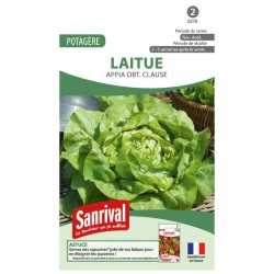graines de Laitue Appia obt. Clause