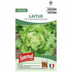 graines de Laitue &eacute;t&eacute; et automne Augusta