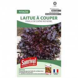 graines de Laitue &agrave; couper feuille de ch&ecirc;ne Red Bowl