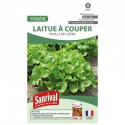 graines de Laitue &agrave; couper feuille de ch&ecirc;ne