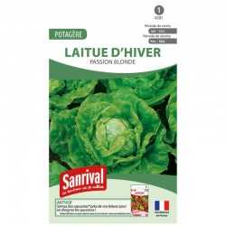 graines de Laitue d'hiver Passion blonde