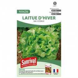 graines de Laitue d'hiver Val d'orge