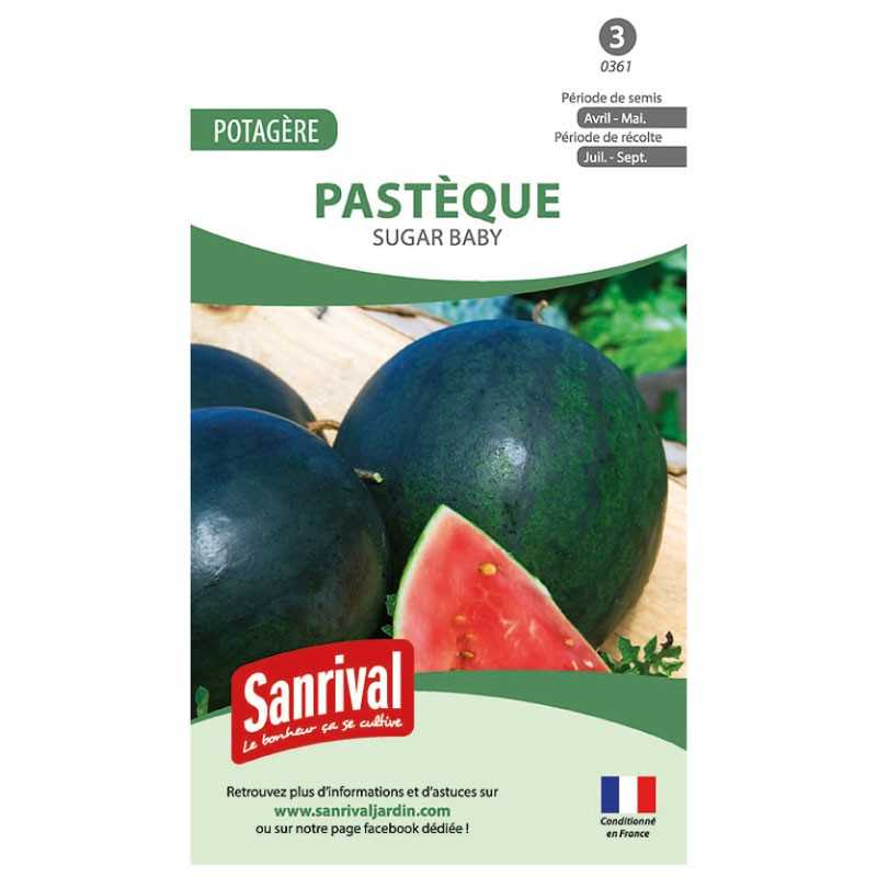 graines de Pastèque (melon d'eau) Sugar Baby graines de Pastèque (melon d'eau) Sugar Baby