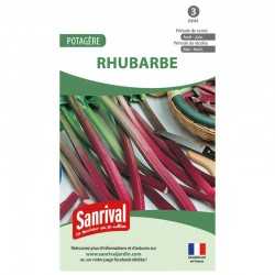 graines de Rhubarbe