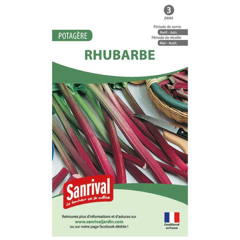 graines de Rhubarbe