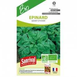 graines d'Epinard G&eacute;ant d'hiver