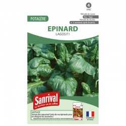 graines dEpinard Lagos F1