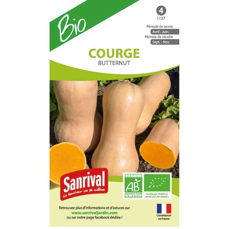 graines de Courge Butternut graines de Courge Butternut