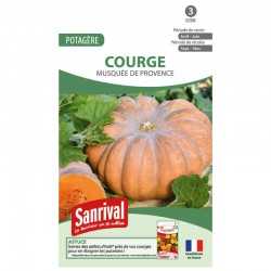 graines de Courge Musqu&eacute;e de Provence
