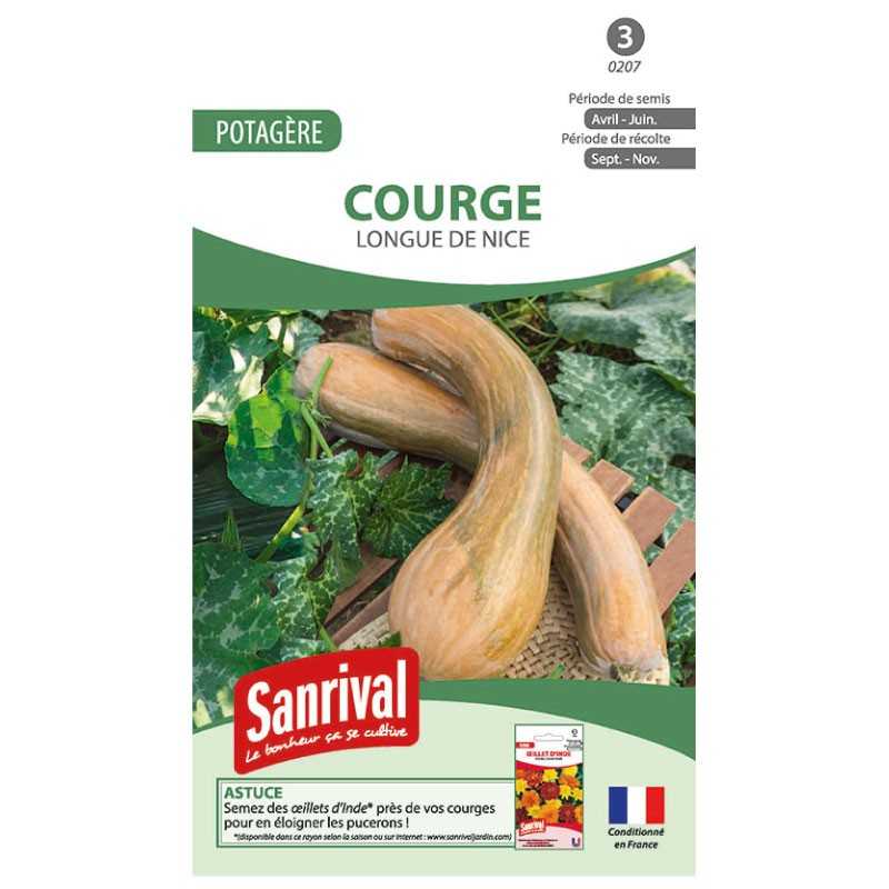 graines de Courge longue de Nice