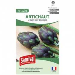 Graines d'Artichaut violet de provence