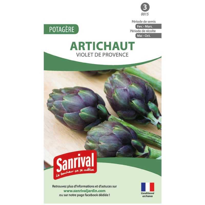 Graines d'Artichaut violet de provence Graines d'Artichaut violet de provence