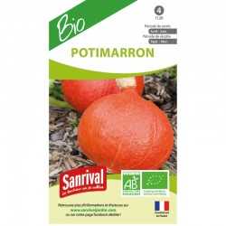 graines de Potimarron