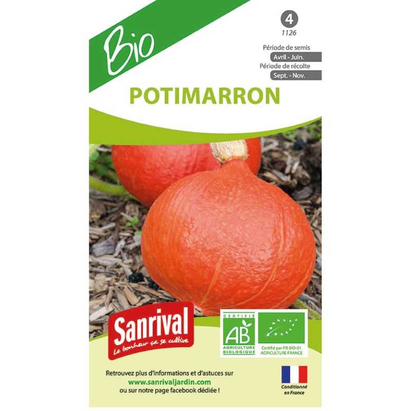 graines de Potimarron graines de Potimarron