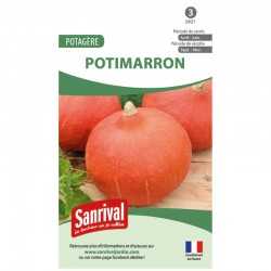 graines de Potimarron